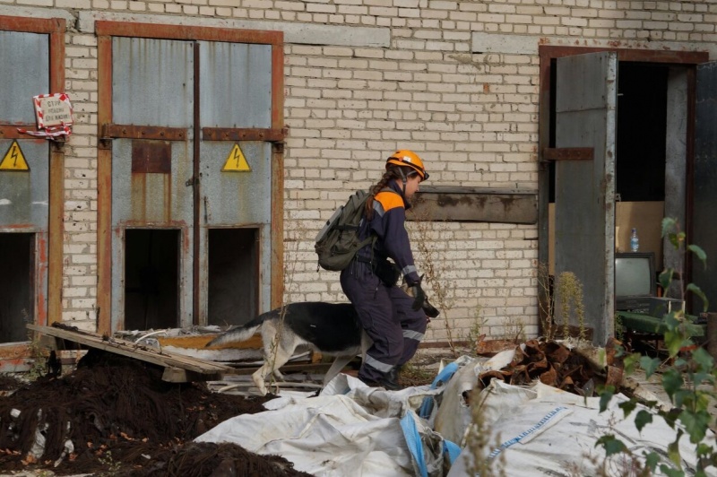 Завершились Х Открытые сертификационные соревнования поисково-спасательных расчетов "Кубок отряда Центроспас"