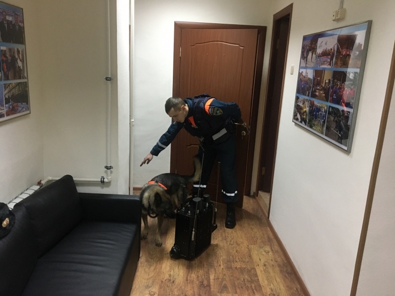 Обеспечение безопасности руководства и сотрудников МЧС России при проведении приема граждан