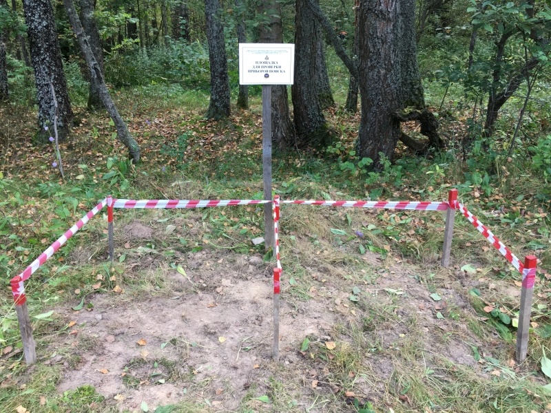 Проведение пиротехнических работ в ТиНАО