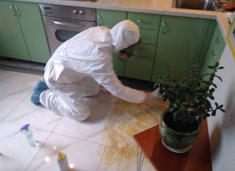Демеркуризация