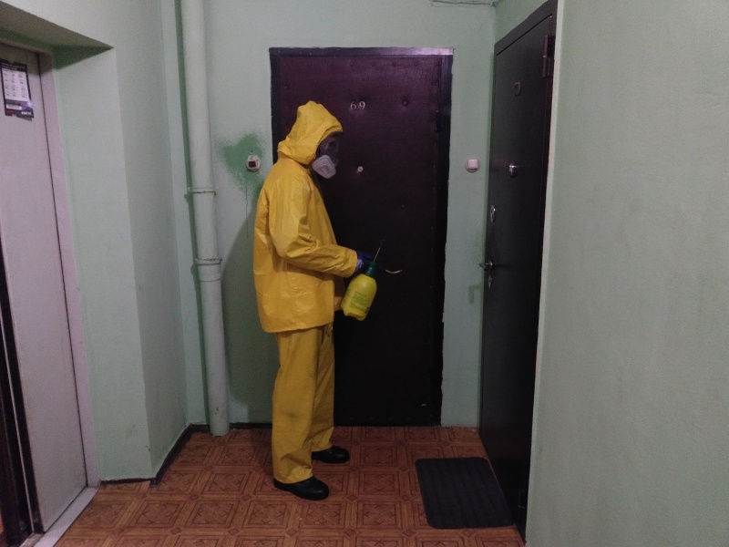 Проведение дезинфекции в пос. Воскресенское