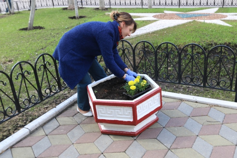 Посадка цветов