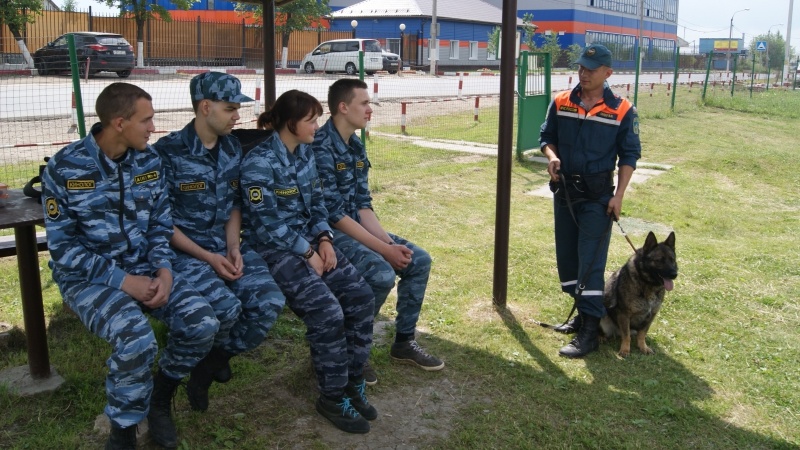 В Центре продолжается практика студентов-кинологов ГБПОУ ОКГ «Столица»
