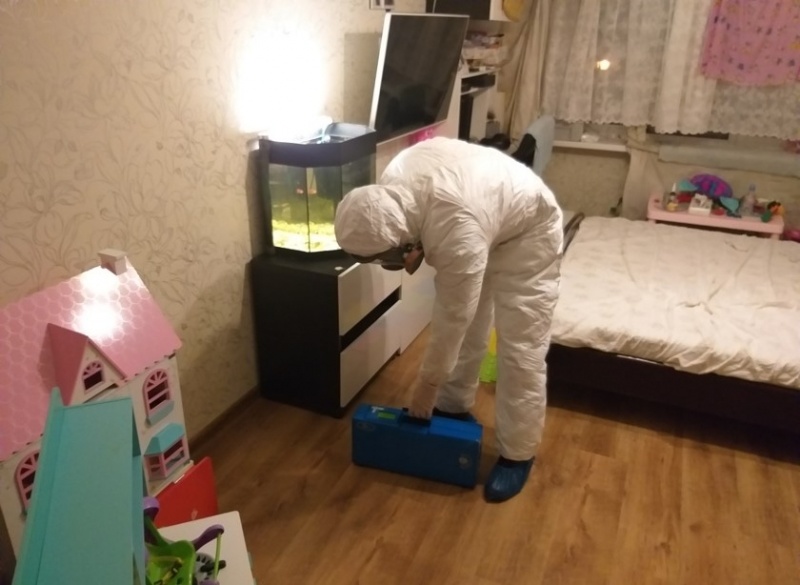 Демеркуризация