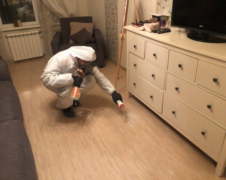 Демеркуризация