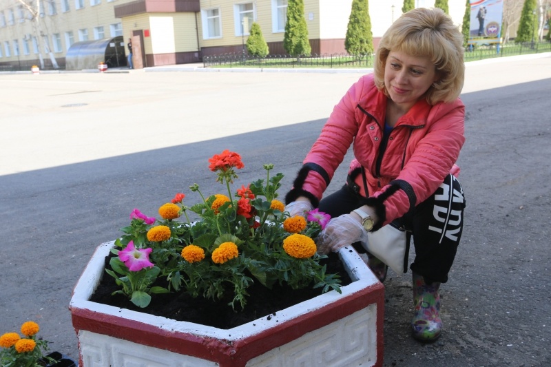 Посадка цветов