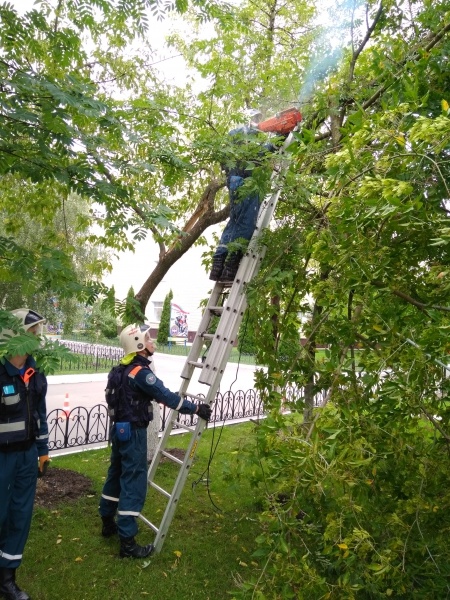 Ликвидация последствий неблагоприятных погодных условий 