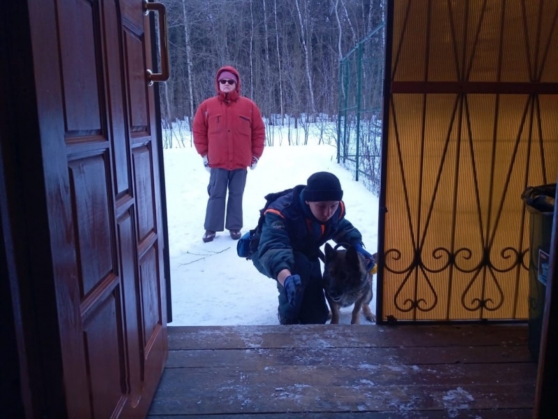 Занятия кинологов