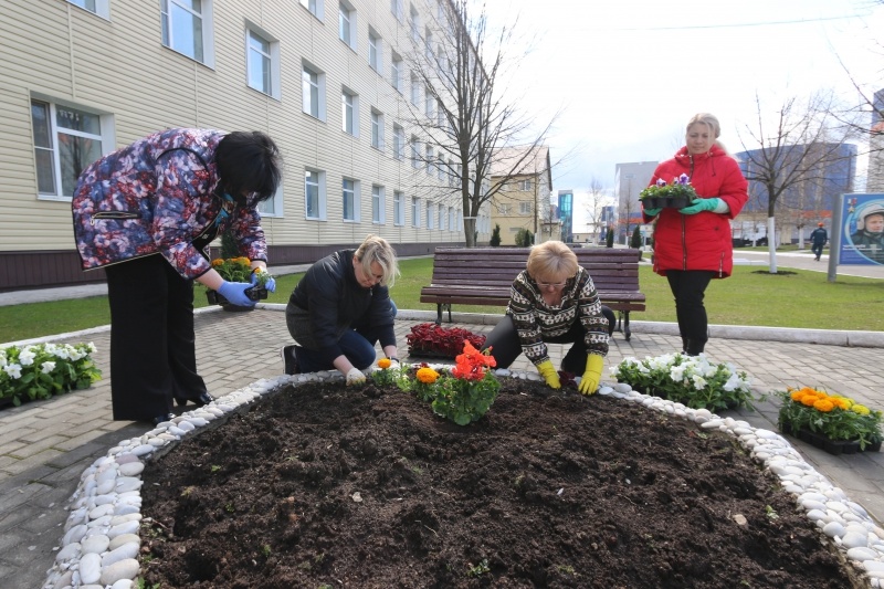 Посадка цветов