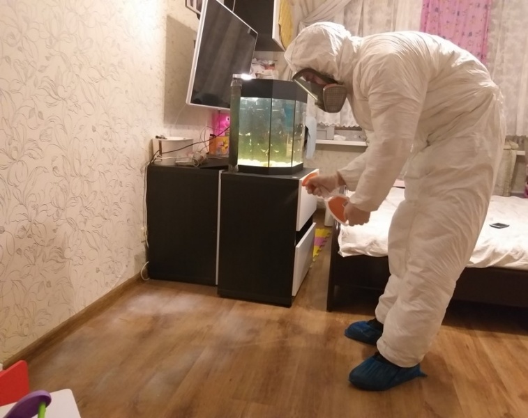 Демеркуризация