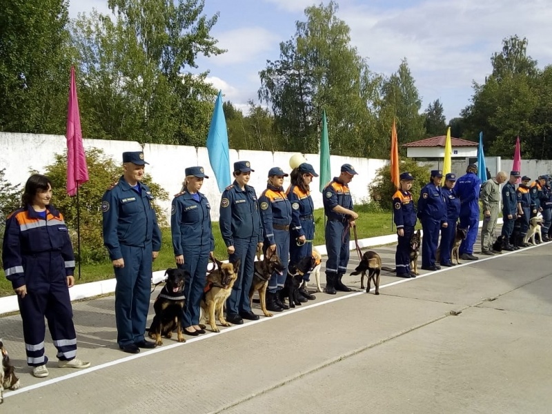 Аттестация кинологов Центра