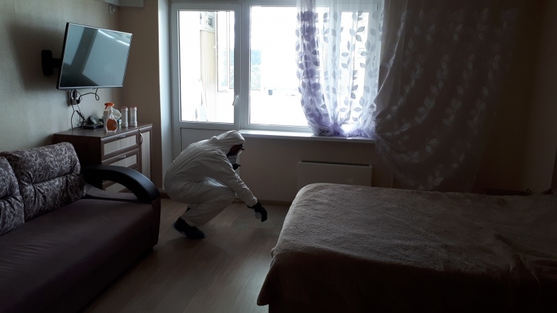 Демеркуризация