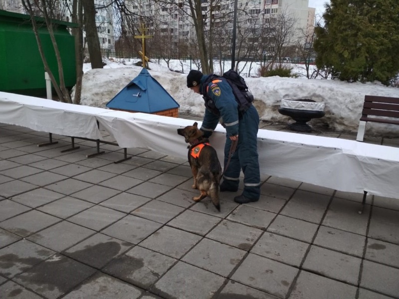 Обеспечение безопасности на территории Храма в п. Мосрентген