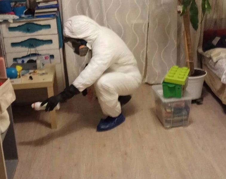 Демеркуризация