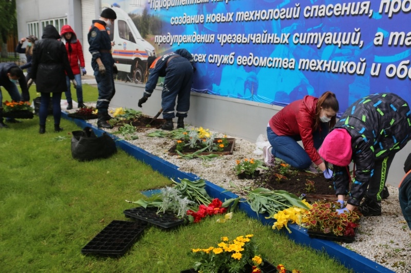Посадка цветов