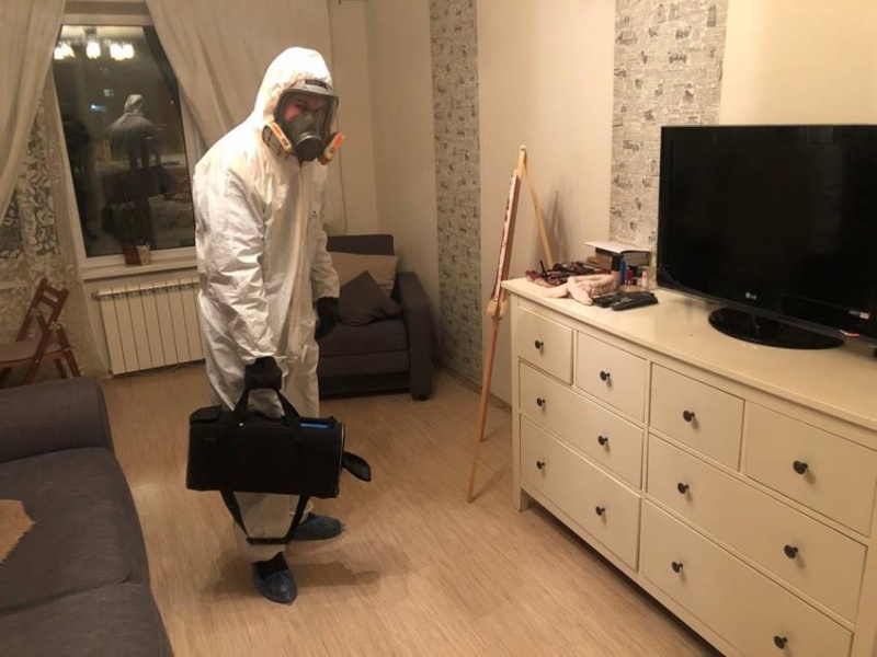 Демеркуризация